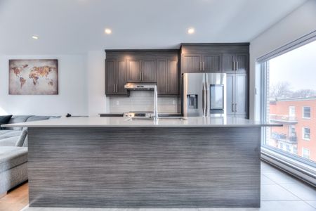 2541 Rue de Rouen #203, Montréal (Ville-Marie), H2K1M5 - Photo 4