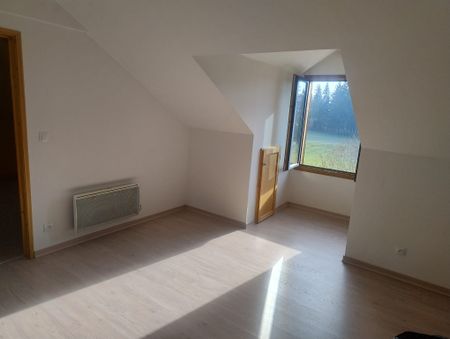 APPARTEMENT ORCHAMPS VENNES - Photo 3