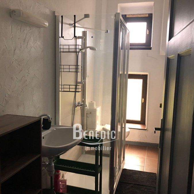 Appartement 2 pièces à Sarreguemines - Photo 2