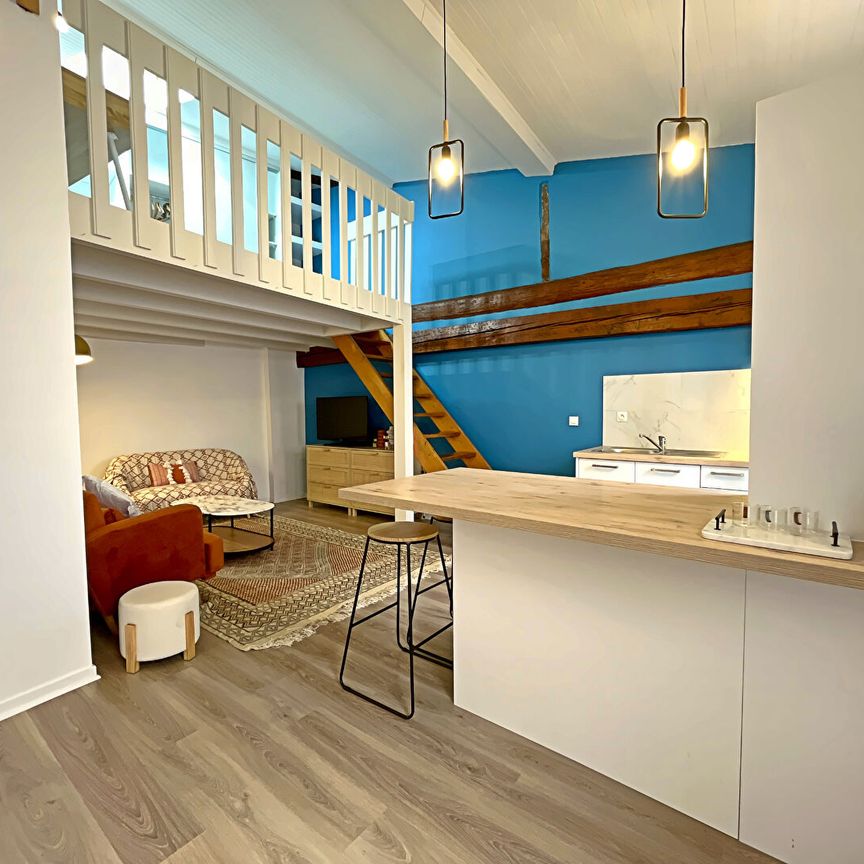 Appartement Toulouse 2 pièces 49.40 m2, - Photo 1