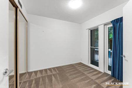 8 Bluebell Street, O'Connor ACT 2602 - House For Rent | Domain - Photo 2