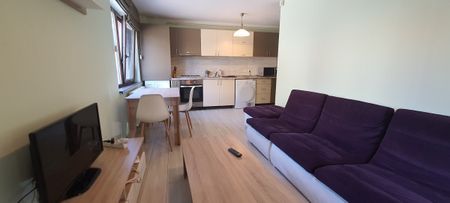 Apartment for rent in Cluj, near the University of Medecine and Pharmacy, Mircea Eliade street, with 2 bedrooms - Fotografie 2