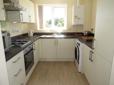 Lamprey Court - Photo 4