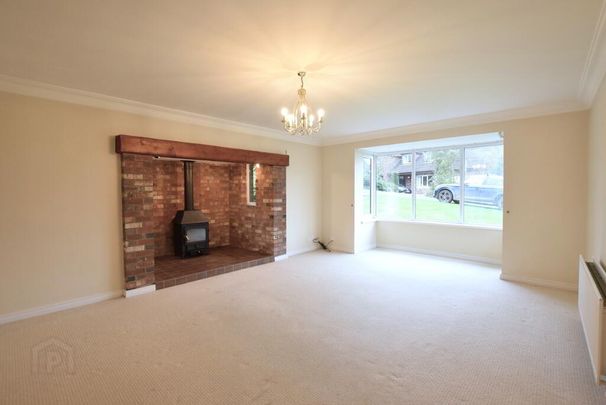 24 Manor Park, Comber, BT23 5FW - Photo 1
