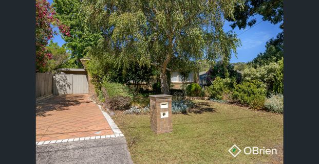 Family-Friendly Home with Beautiful Backyard - Photo 1