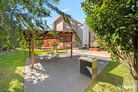 29/132 Thynne Street, Bruce ACT 2617 - Apartment For Rent | Domain - Photo 5