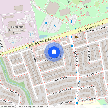 119 Amulet Crescent, Richmond Hill