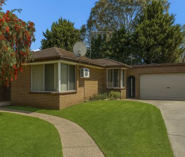 Comfortable Family Home in a Great Hampton Park Location - Photo 3