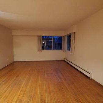 Spacious ONE bedroom - Photo 3