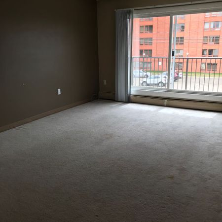 Apartment in Downtown, Close to All Amenties and Pet Friendly - Photo 4