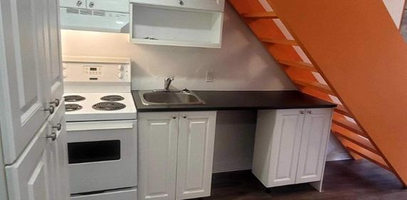 1 CH - 1 SDB - Montréal - $1,300 /mo - Photo 2