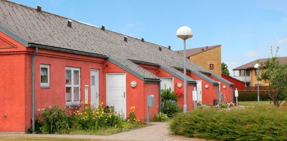 Stygge Krumpens Vej - Sæby - Foto 2