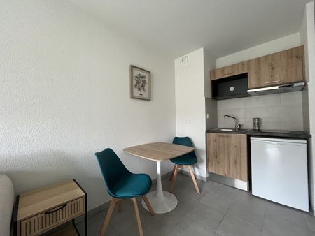 Location Appartement 1 pièce 23m² CASTANET TOLOSAN 31320 - Photo 4