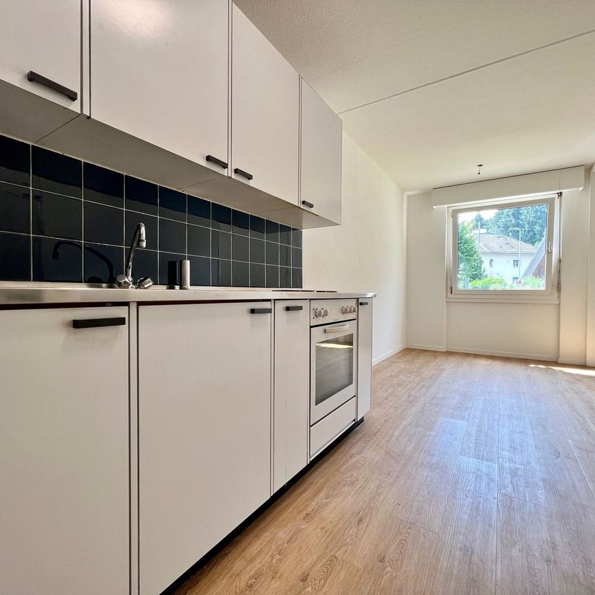 Rent a 3 ½ rooms apartment in Effretikon - Photo 1