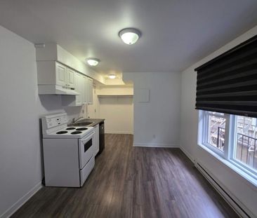 1 CH - 1 SDB - Montréal - $1,095 /mo - Photo 2