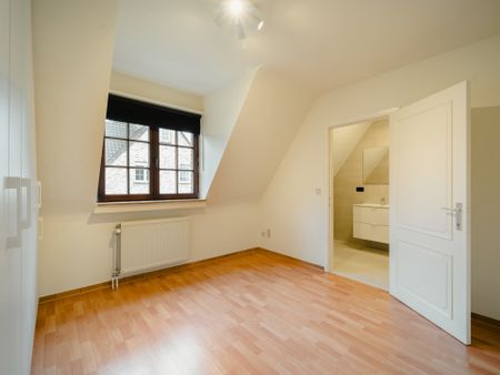 Zoniënwoud, Hoeilaart - Foto 3