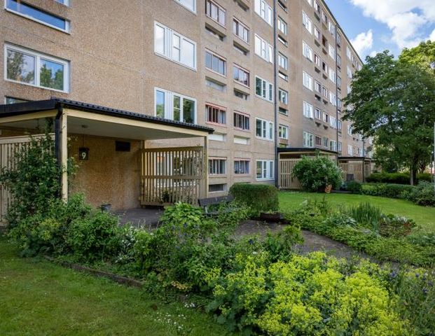 Fjällkåpan 12 - Photo 1