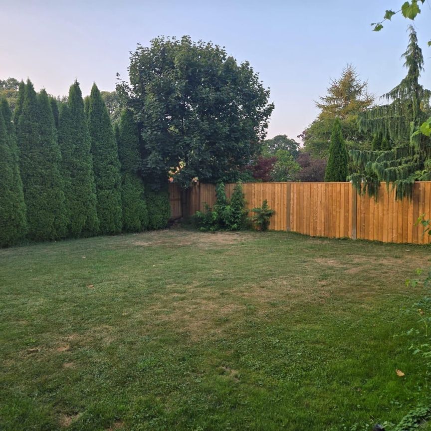 For Lease - 477 Scott Street Unit# Bsmt, St. Catharines, Ontario - Photo 1