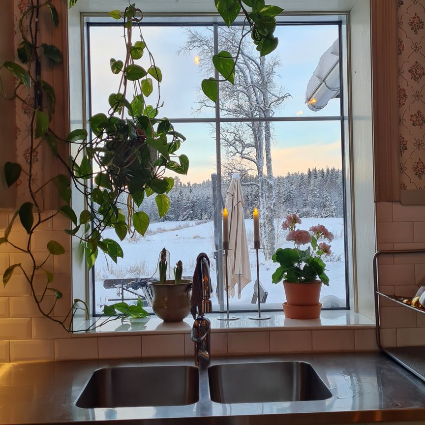 Nyvik, Bygdeå - Photo 1