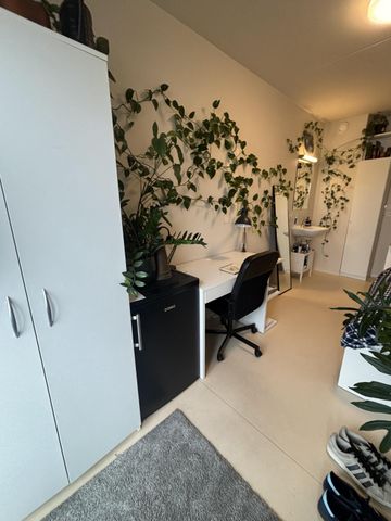 Xior Overwale — Overwale - Photo 4