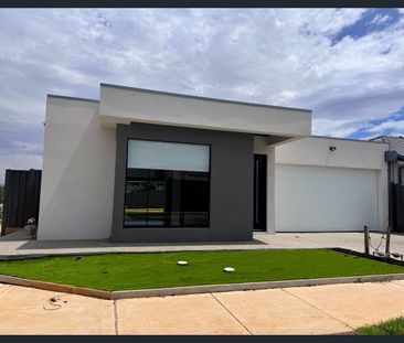 Comfortable & Contemporary Family Living in the Heart of Tarneit - Photo 2