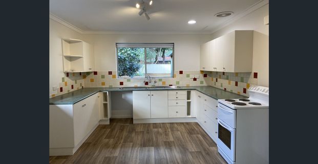 Renovated Home, Large Backyard - Photo 1