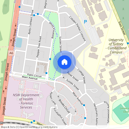 76 Sussex street, NSW 2141, Lidcombe