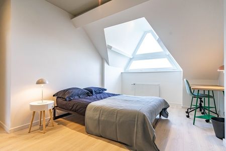 Room at Avenue Paul Hymans 70 - Photo 4