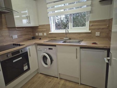 Gallacher Ave, Paisley, PA2 - Photo 4