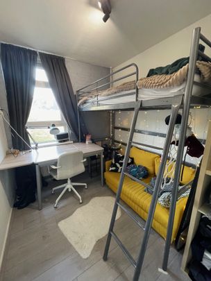 Jaspisstraat, Edelstenenkwartier, Vinkhuizen, West, Groningen, Nederland, 9743 JW, Nederland - Foto 1