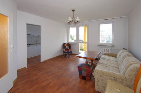 mieszkanie na wynajem - Szczecin, Gumieńce, ul. Hrubieszowska - Photo 3