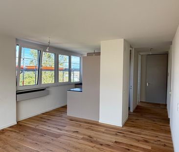 Neu sanierte 2.5-Zimmer-Wohnung mit schöner Aussicht - Foto 2