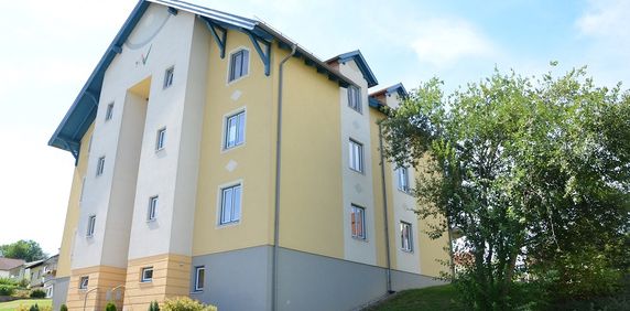 Wohnung in Echsenbach - Photo 2