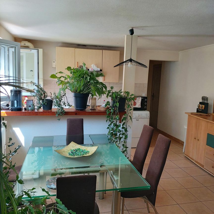 LOCATION APPARTEMENT T3 SEMEAC - Photo 1