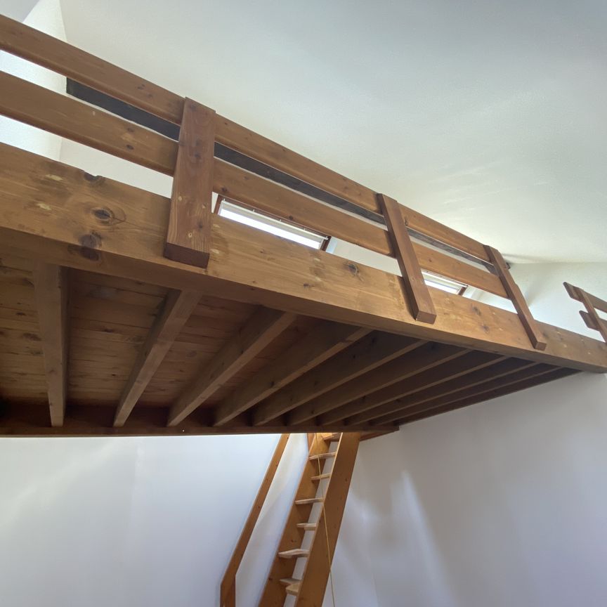 APPARTEMENT T2 EN MEZZANINE QUARTIER HENRIVILLE - Photo 1