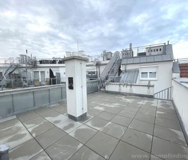 hofseitige Terrassenwohnung nahe Liechtensteinpark - unbefristet - Photo 3