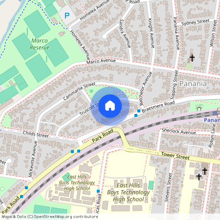 11 Truscott Street, NSW 2213, Panania