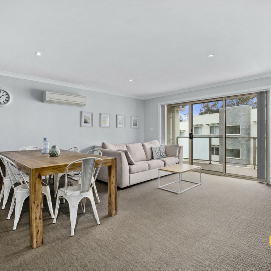 Updated 3 Bedroom Apartment - Photo 1