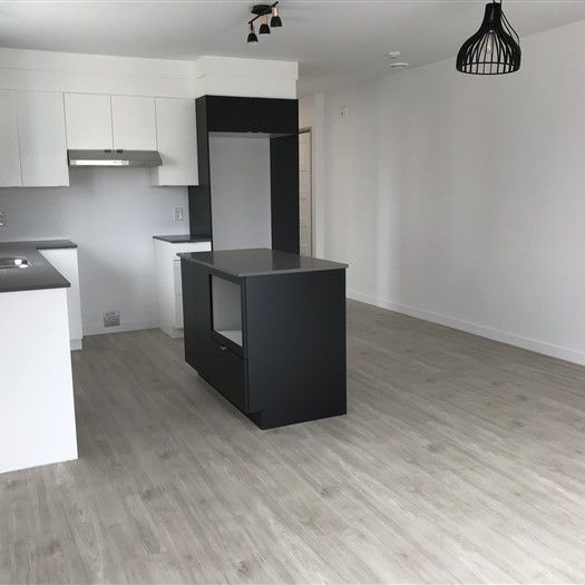 Beau 4 1/2 (Août) situé au 886-202 rue Lamarche, Sherbrooke, J1H 0M9 - Photo 1