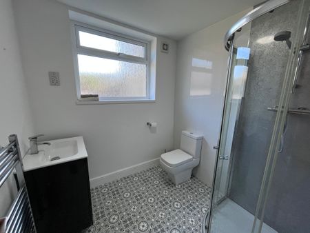 Basement Flat, Walter Road, Swansea. SA1 5PY - Photo 4