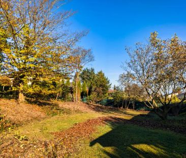 Freistehendes EFH mit tollem Weitblick in Ittenbach! 200qm, 2 neue ... - Foto 5