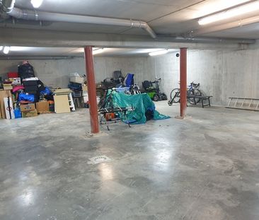 Appartement te huur Waasmunster - Foto 3