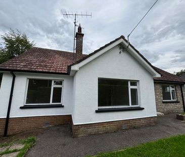 ✅ Refurbished Bungalow ✅, 29 TOWNVIEW AVENUE SOUTH, BT781HX, Omagh - Photo 3