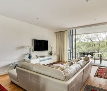 3308/12 Neild Avenue, Darlinghurst - Photo 3