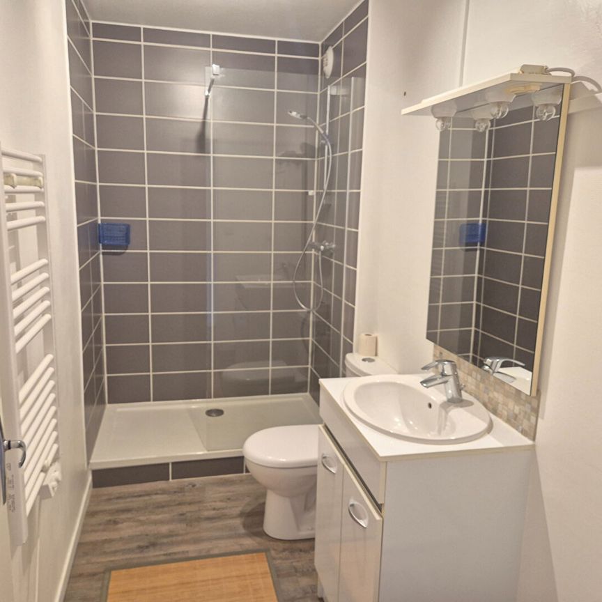 A LOUER Appartement Meublé 50000 Saint-lo 1 pièce(s) 36 m2 - Photo 1
