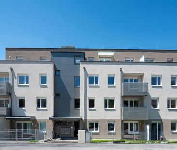 SCHEIBBS XXIII/1 - Photo 2