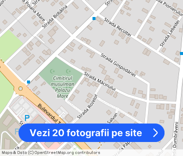 Casă / Vilă cu 5 camere de închiriat în zona Palazu Mare - Fotografie 1