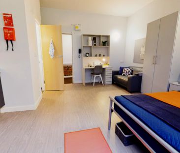 Bronze Studio Plus - Photo 4