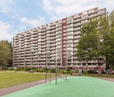 Heiloostraat 2547 KR 's-Gravenhage - Photo 2