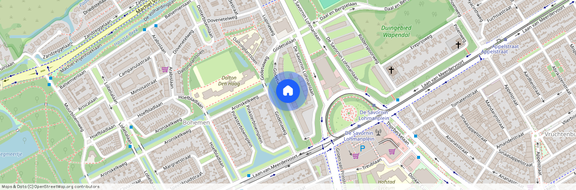 Godetiaweg 49, Bohemen en Meer en Bos, 2555RP, Den Haag